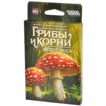 Грибы и корни: Шёпот леса