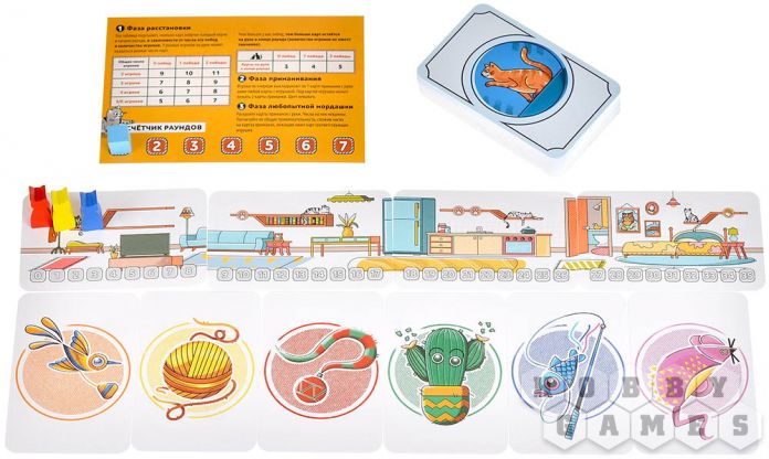 Котомания фото 5