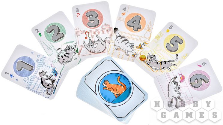 Котомания фото 8