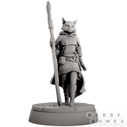 Миниатюра "Кошколюд-маг" фото 2