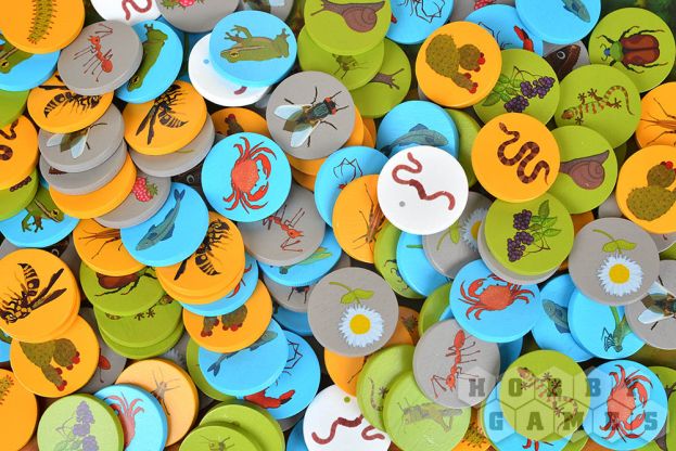 Птенцы. Делюкс фото 6