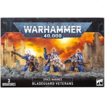 Space Marines Bladeguard Veterans