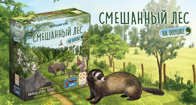 Смешанный лес: На опушке